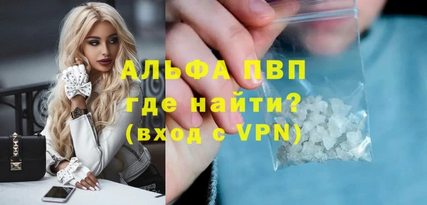spice Богданович