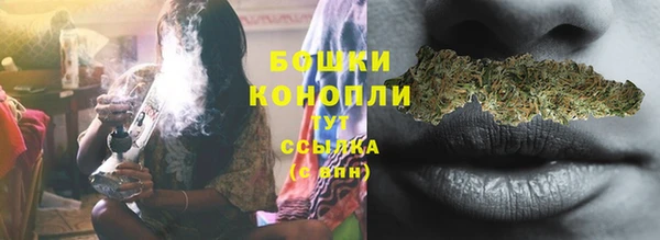 spice Богданович