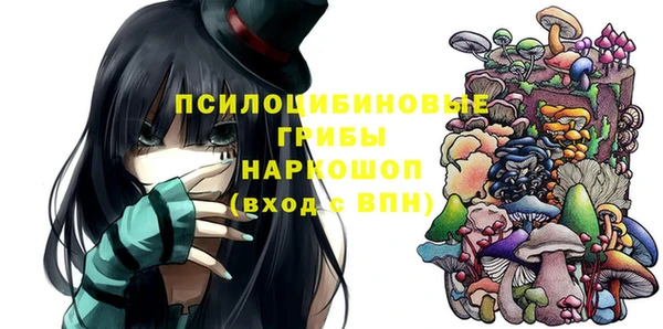 гидра Щигры