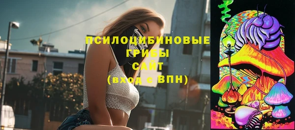 марки nbome Белокуриха