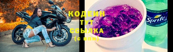 spice Богданович