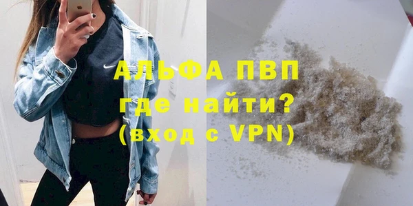 гидра Щигры