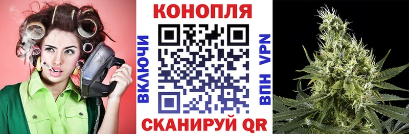 Конопля SATIVA & INDICA  Верхняя Тура 